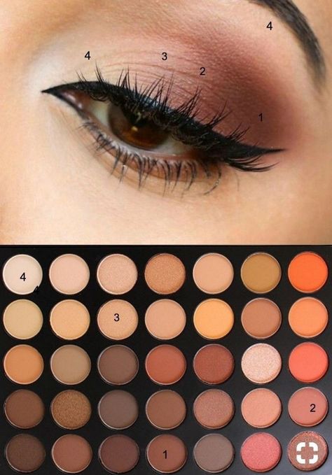 Brown Eyeshadow Tutorial, Teknik Makeup, Brown Eye Makeup Tutorial, Kuas Makeup, Membentuk Alis, Makeup Morphe, Eyeshadow Tips, Trendy Eyeshadow, Makeup Tutorial Eyeshadow