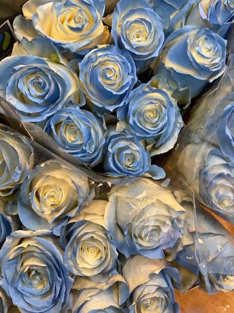 Blue Princess Aesthetic, Caraval Stephanie Garber, Donatella Dragna, Blue And White Roses, Blue Roses Wallpaper, Stephanie Garber, Light Blue Roses, App Background, Rosé Aesthetic