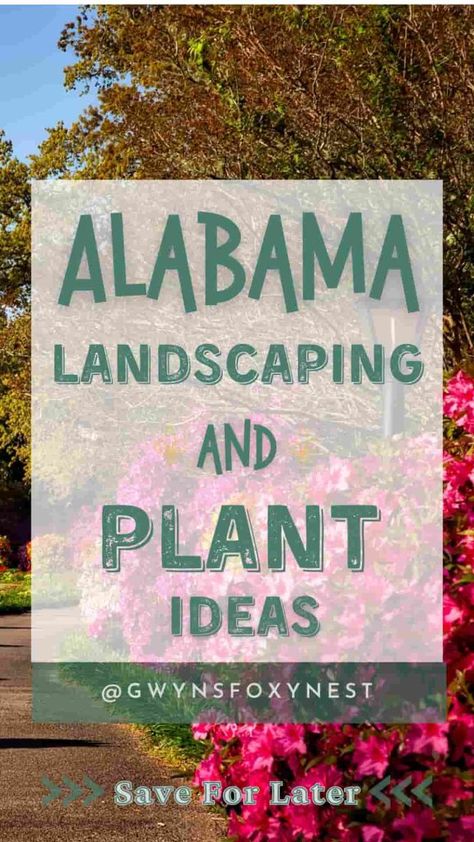 Discover stunning Alabama landscape ideas to enhance your garden with native plants, water-efficient designs, and wildlife-friendly features. Learn how to create a beautiful, sustainable yard that thrives in Alabama’s unique climate. Alabama Landscape, Sustainable Yard, Landscape Ideas, Native Plants, Country House, Alabama, Landscaping, To Create, Yard