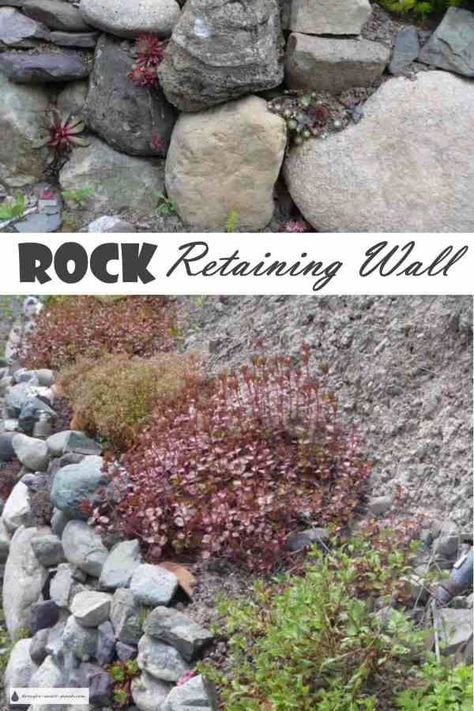 Garden Retaining Walls, Rock Wall Gardens, Hardy Succulents, Succulent Photography, Rock Retaining Wall, Garden Retaining Wall, Diy Succulent Terrarium, Succulent Bouquet Wedding, Gardening Quotes