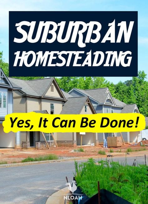 Suburban Homesteading, Food Forest Garden, Big Farm, Porch Area, Survival Shelter, Urban Homesteading, Food Forest, Homestead Survival, Rain Water Collection