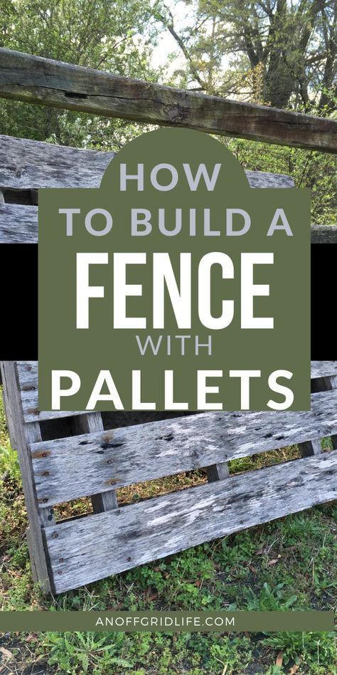 Garden Fence With Pallets, Palet Fence Ideas Backyards, Diy Outdoor Privacy Wall Pallet, Diy Fence Gate Cheap, Fence On A Budget Diy, Picket Fence From Pallets, How To Make A Fence Out Of Pallets, Pallet Garden Ideas Furniture, Double High Pallet Fence