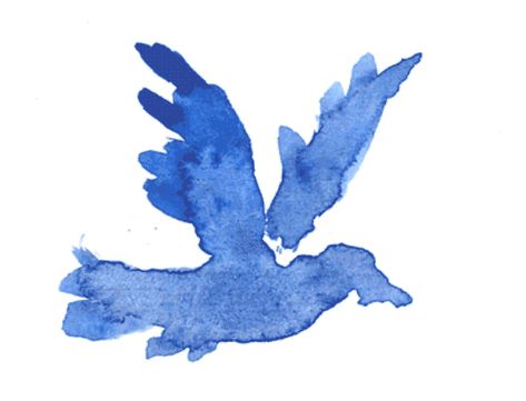 A water coloury bird Bird Gif, Blue Wings, Blue Decor, Birds Flying, Stop Motion, Motion Design, Art Videos, Blue Bird, Animated Gif