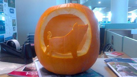 Farm Themed Pumpkin Carving, Pig Pumpkin Carving Ideas, Farm Pumpkin Carving Ideas, Pig Pumpkin Carving, Chicken Pumpkin Carving, Pig Pumpkin, Pumpkin Creations, Thanksgiving Crafts Decorations, Halloween Themes Decorations