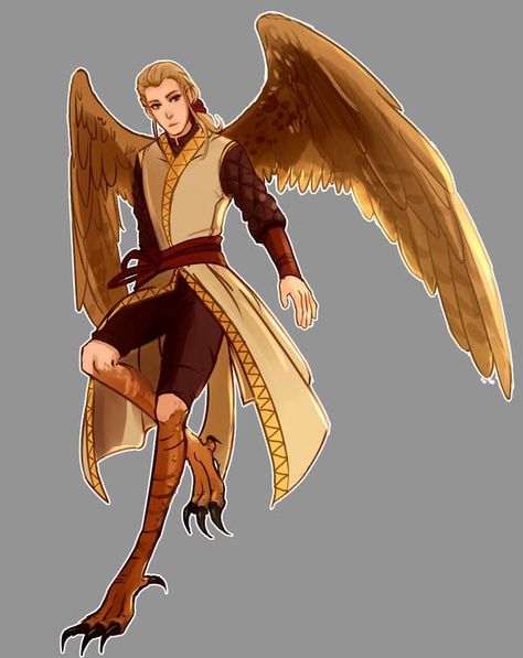 Male Harpy, Yugi Moto, Winged People, Art Costume, Fantasy Races, Dungeons And Dragons Homebrew, Cool Art Drawings, Chapter 1, Diy Canvas Art