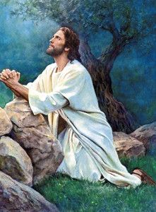 Imagenes de JESUS Orando Jesus Our Savior, Jesus Tattoo, Pictures Of Christ, Jesus Praying, Jesus Photo, Jesus Christ Art, Pictures Of Jesus Christ, Jesus Painting, Jesus Christ Images