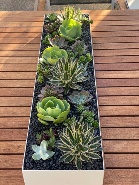 Succulent Outdoor, Succulent Garden Landscape, Pallet Projects Garden, Succulent Garden Indoor, Succulent Garden Design, Potted Plants Outdoor, Succulent Garden Diy, Rectangular Planters, Garden Decor Projects