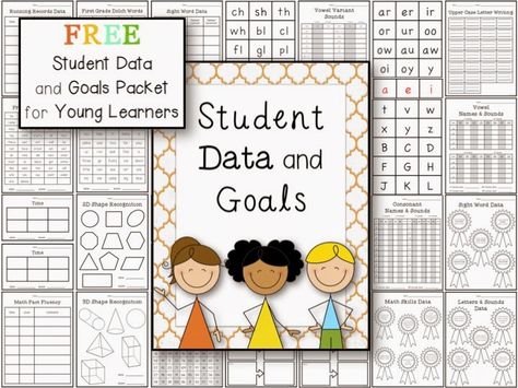 FREEBIE: Data Binder for First Grade Literacy and Math Skills First Grade Assessment, Student Data Binders, Data Folders, Kindergarten Assessment, Preschool Assessment, Data Binders, Data Notebooks, Data Folder, Student Assessment