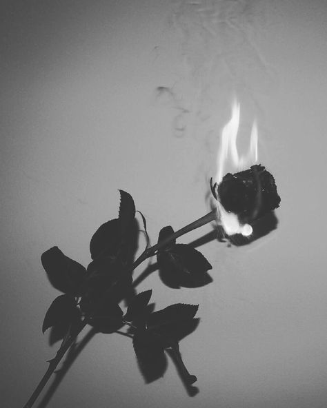 Preppy Emo, Rose On Fire, Photography Major, Wilted Rose, Black Roses Wallpaper, Burning Rose, Wallpaper Diy, Anime Goth, Rosé Black And White