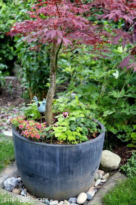 Japanese Maple Planter with annuals and alpine strawberries (at kid height). Colorbond Fence, Gemüseanbau In Kübeln, Diy Container Gardening, Backyard Hammock, Vertical Wall Planters, Container Garden Design, Container Ideas, Japanese Maples, Decorative Ideas