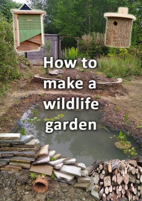 A wildlife garden with a wildlife pond, wildlife plants and log piles Creating Animal Habitats, Garden Wildlife Ideas, Backyard Wildlife Habitat Ideas, Wildlife Habitat Garden, Wildlife Habitat Projects, Biodiversity Garden Ideas, Attract Wildlife To Garden, Wildlife Friendly Garden Ideas, Wildlife Friendly Backyard