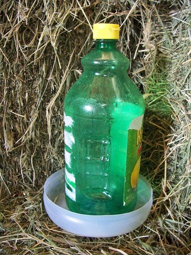 Slap together a homemade chick waterer rather than buying a new plastic one. Homemade Chicken Waterer, Chicken Waterer Diy, Chicken Backyard, The Prairie Homestead, Chicken Feeder Diy, Prairie Homestead, Chicken Waterer, Chicken Feeders, Feed Store