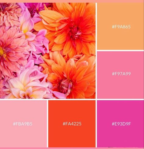 Orange Pink Color Palette, Coastal Doors, Blue Orange Color Palette, Colouring Palette, Pink And Orange Color Palette, Flower Palette, Orange Color Palette, Sunset Color Palette, Orange Wedding Colors