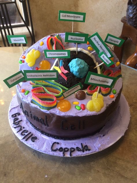 Animal Cell Cake Animal Cell And Plant Cell Project Ideas, Cell Cakes Project, Cake Cell Model, Cake Cell Project Ideas, Animal Cell Food Project, Animal Cell Cake Project Ideas, Candy Cell Model, Cell Cake Project Ideas, Animal Cell Edible Project