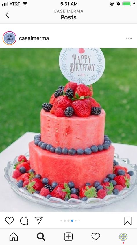 Raw Fruit Cake, Watermelon Wedding Cake, First Birthday Fruit Cake, Fruit Cakes Ideas, Healthy Wedding Cake, Cake Made Of Fruit, Watermelon Fruit Cake, Watermelon Birthday Cake, Watermelon Cake Recipe