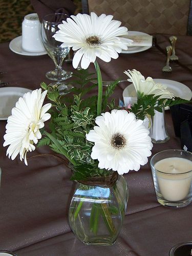 gerbera centerpieces | White Gerbera Daisies Centerpiece Gerbera Centrepiece, Daisy Centerpieces, White Gerbera, Gerbera Daisies, Flower Table, Table Centrepiece, White Wedding Flowers, Gerbera Daisy, Party Stuff