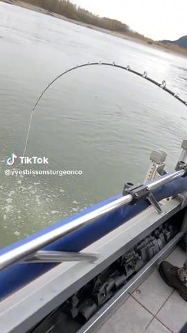 Pro Angler Supplies (@pro_anglers_supplies) | TikTok Crappie Fishing Tips, Fishing Photography, Fishing Pictures, Extremely Funny, Lake Boat, Fishing Techniques, Fishing Videos, Ocean Fishing, Summer Lake