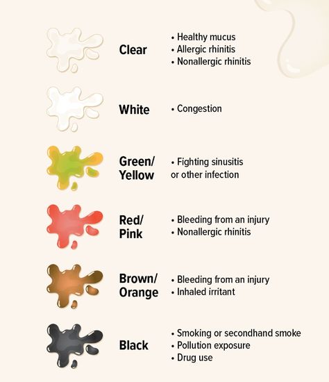 Ever notice your snot changing colors? 🌈🤧 It's like a mood ring for your nose! From clear to green or even black, your mucus color can give some clues about what's going on inside. Let's decode those snot signals together! #NoseNews #herbspro Mucus Color, Clear Mucus, Healthy Juice Recipes, Mood Ring, Healthy Juices, Emergency Service, Lungs, Juicing Recipes, How To Stay Healthy