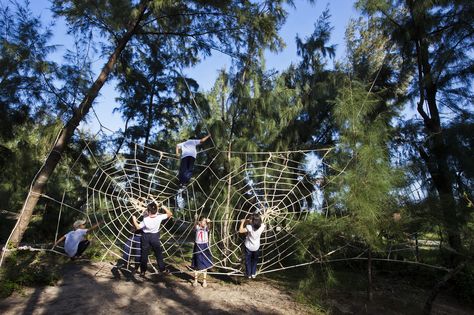 Dragonfly Park,© Oki Hiroyuki Wood Playground, Landscape Architecture Plan, Linear Park, Public Architecture, Playground Design, Nature Play, Woodland Garden, Parking Design, Kids Play Area