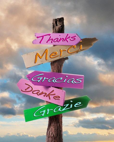 Thank You Pictures, Found Photos, Thank You Wishes, Thank You Images, Thank You Quotes, Thanks Card, Thank You Messages, Thank You Notes, Outdoor Christmas