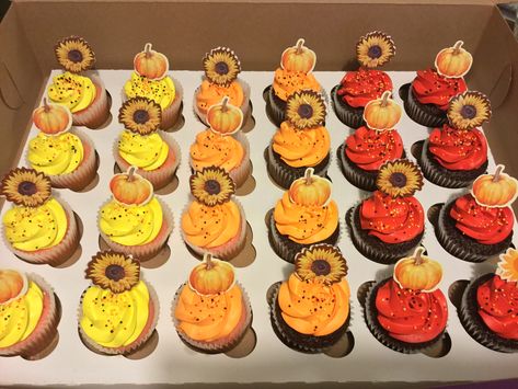 Fall Cupcakes Fall Cupcakes Decoration Simple, Thanksgiving Cupcake Decorating Ideas, Cupcakes Decoration Simple, Fall Cupcakes Decoration, Thanksgiving Colors, Cupcake Decorating Ideas, Thanksgiving Cupcakes, Fall Cupcakes, Thanksgiving Color