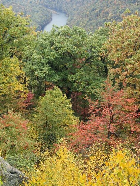 Cooper Rock WV. Coopers Rock, Country Roads, Natural Landmarks, Water, Travel, Nature