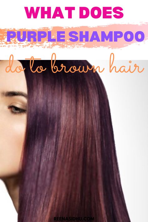 Purple Shampoo On Brown Hair, Violet Black Hair, Purple Red Hair Color, Red Purple Hair, Blonde Hair Tips, Color Correction Hair, Porous Hair, Silver Haired Beauties, Brassy Hair