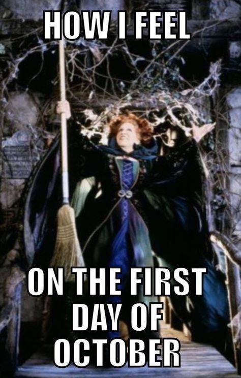 September Is Halloween Eve, Halloween Season Quotes, October Quotes Halloween, October Eve, October Funny, Hocus Pocus Funny, Hermanas Sanderson, October First, Halloween Meme