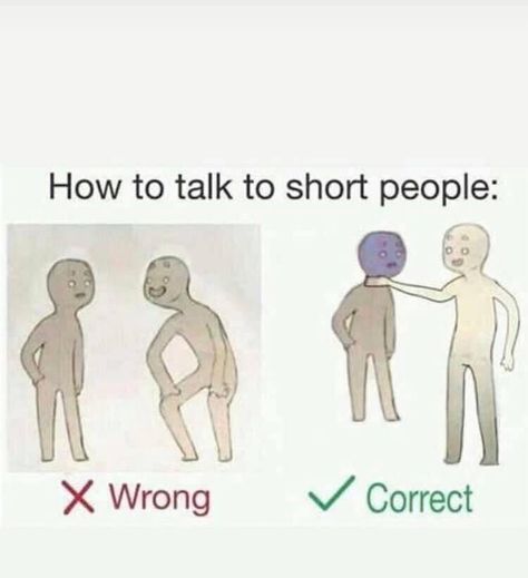 Short Person, Tall Person, Short People, How To Talk, Know Your Meme, Laughing So Hard, Kung Fu, Funny Comics, Funny Posts