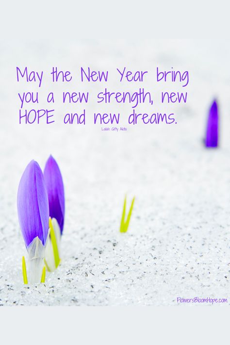 May the New Year bring you a new strength, new HOPE and new dreams. Happy New Year Pictures, Finding Hope, Hope Quotes, Flowers Bloom, Life Challenges, New Hope, Falling Down, Chronic Illness, Amazing Flowers