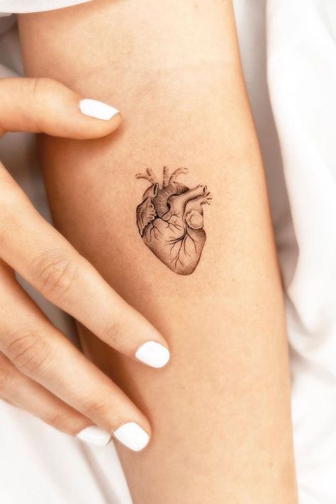 Real Heart Tattoos, Corazon Tattoo, Hart Tattoo, Realistic Heart Tattoo, Heart Outline Tattoo, Anatomical Heart Tattoo, Flower Thigh Tattoos, Small Heart Tattoos, Petite Tattoos