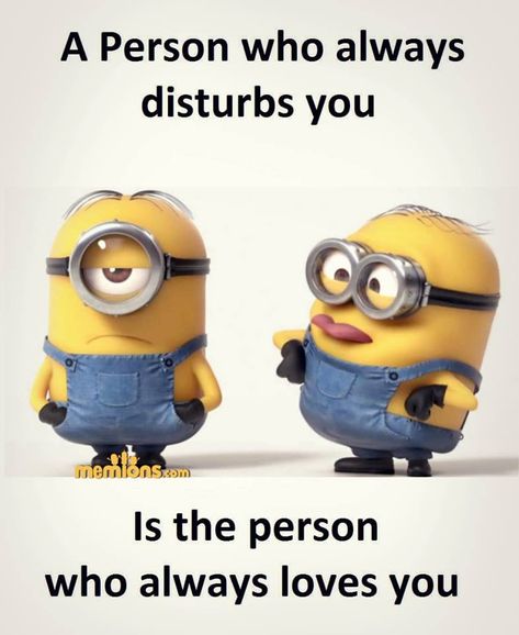 24 Funny Minion Quotes   #minionquotes #funnyminions #minionpics #minionpictures #despicableme Minion Meme, Funny Love Quotes, Funny Minion Pictures, Funny Minion Memes, Minion Jokes, Cute Minions, Bff Quotes Funny, Quotes Humor, Best Friend Quotes Funny