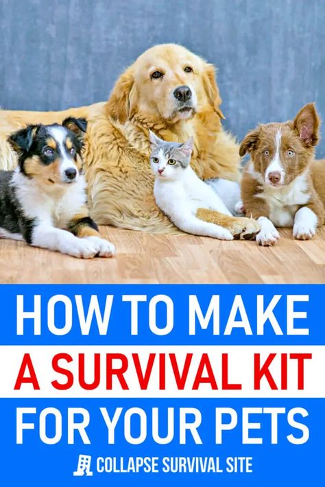 Discover how to create a comprehensive survival kit for all your pets, ensuring their safety and well-being during emergencies. Survival Basics, Pet Emergency Kit, Survival Preparedness, Shtf Preparedness, Emergency Prepardness, Dog Remedies, Emergency Preparedness Kit, Survival Supplies, Emergency Preparation