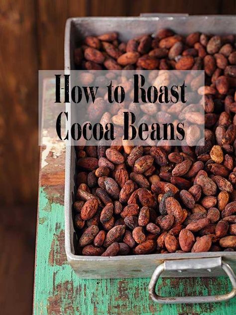 Canna Chocolate, Medicinal Trees, Chocolate Business Ideas, How To Make Beans, Chocolate Business, Chocolate At Home, Bean To Bar Chocolate, Home Chocolate, Cacao Fruit