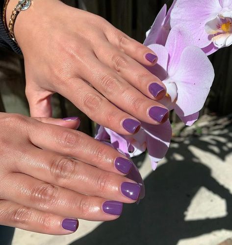 Anabelle Does Nails on Instagram: "💜 Dreamy Purple 💜 Use the BOOK button in my bio or DM me for appointments 📲 • • • #dndelectricpurple #nailsoftheday #cutenails #newnails #starnails #handpainted #nailart #colorfulnails #beautiful #art #dndgel #dndcreativenails #artisticnails #springnails #cutenails #naturalnails #miaminails #miamigelnails #nailart #miaminailartist #beautifulnails #style #stylish #spring #opigel #glossynails #anabelledoesnails" Dnd Blue Gel Polish, Blue Gel Polish, Purple Gel Nails, Es Nails, Electric Purple, Dnd Gel Polish, Nail Polish Set, Gel Nail Polish Set, Nail Polish Sets