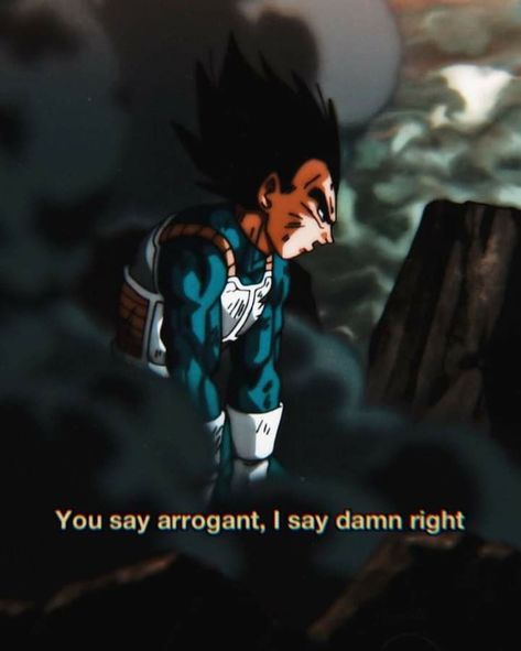 Vegeta Quotes Pride, Vegeta Quote, Vegeta M, Vegeta Quotes, Karate Quotes, Fan Quotes, Balls Quote, Pride Quotes, Anime Quotes Inspirational