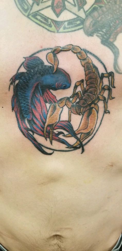 Aquarius and Scorpio sternum piece. For my best friend my wife. Fish And Scorpion Tattoo, Scorpion And Pisces Tattoo, Pieces And Scorpio Tattoo, Aquarius Scorpio Tattoo, Scorpio Aquarius Tattoo, Scorpio And Pisces Tattoo Combined, Scorpio Pisces Tattoo, Aquarius And Scorpio Tattoo, Scorpio And Aquarius Tattoo