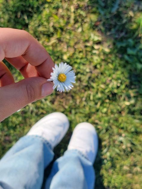 Nails Acrylic Flowers, Aesthetic Flower Tattoo, Winter Flowering Plants, Tattoo Design Flower, Nail Flowers, Hands Holding Flowers, Dresses Flowers, Nails Flowers, Flowers Nails