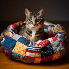 Dishfunctional Designs: Upcycled Patchwork Cat Beds That You Can Make At Home Cat Sewing Projects, Cat Bed Aesthetic, Cat Love Aesthetic, Patchwork Cat, Cat Bed Pattern, Cat Climbing Wall, Diy Cat Bed, Inside Cat, Black Cat Pillow