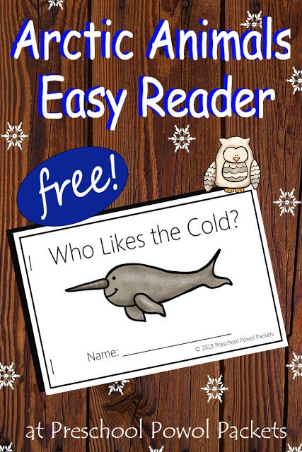 Polar Animals Kindergarten Activities, Arctic Animal Lesson Plans For Preschool, Arctic Fox Preschool Activities, Arctic Activities For Preschool, Polar Bear Facts Preschool, Kindergarten Arctic Animals, Arctic Fox Crafts, Arctic Animals Preschool Activities Free Printables, Arctic Animals Printables