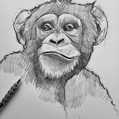 Cool Elephant Drawings, Hatching Animal Drawing, Animal Pen Sketch, Animal Texture Drawing, Architecture Drawing Art Sketches, Animals Pencil Sketch, Gorilla Art Drawing, Pencil Art Drawings Animals, Monkey Pencil Drawing