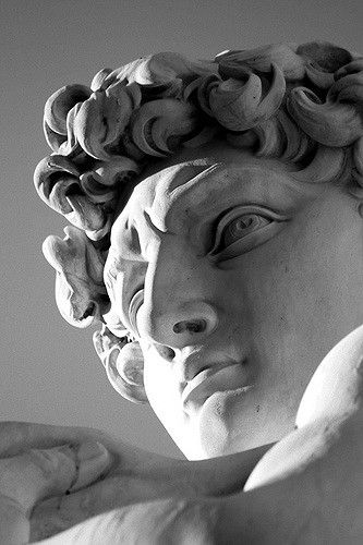 Greeks believed that humans and gods had the same form and that each person had individual ability to achieve something akin to godliness as exemplified by Michelangelo's David.  Image Source:  "David - Michelangelo Buonarroti." Flickr. Yahoo!, n.d. Web. 02 May 2016. <https://www.flickr.com/photos/andreabosio/3731565383/> Michelangelo Statue, David Michelangelo, Urban Wall, Istoria Artei, Ski Art, Italian Sculptors, Classic Sculpture, Greek Statues, Roman Sculpture