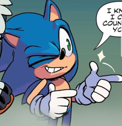 Sonic Icon, Sonic