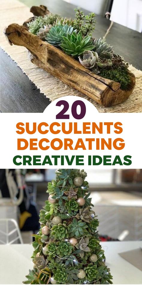 Explore the beauty of succulents by effortlessly incorporating these resilient plants into your home decor. Transform your living space with a touch of greenery and elegance through striking succulent terrariums, cascading wall gardens, and stylish pot displays. Let the simplicity and charm of succulents inspire you to create a serene ambiance that celebrates their unique beauty. Embrace indoor gardening with these creative ideas to bring a modern, fresh vibe to any room. Suculents Ideas Decoration Pots & Planters, Succulent Arrangements Ideas, Fall Succulent Arrangements, Succulent Pot Ideas Diy, Succulent Terrarium Ideas, Terrarium Ideas Unique, Indoor Succulent Garden Ideas, Succulents Ideas, Outdoor Table Centerpieces