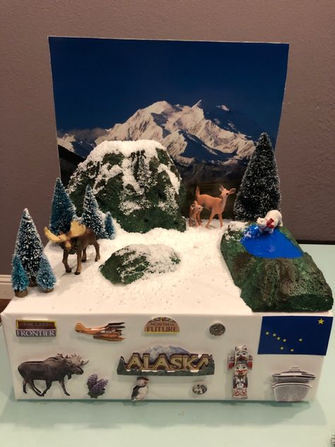 Alaska state research project for second grade. Alaska Float Project, Alaska Diorama, Artic Tundra, Kids Parade Floats, Canada For Kids, Habitat Project, State Project, Canada Project, Learning States