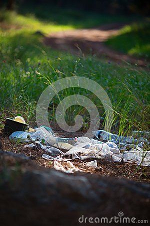 Trash In Forest, Environmental Problems, Grass Background, Environmental Problem, In The Forest, Ecology, Bird Bath, The Forest, Stock Images