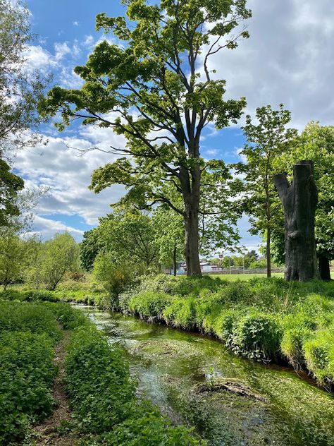 Just Muddling Through Life Leaves Changing Color, Hiking Routes, Walking Routes, Small Ponds, Green Space, Spring Day, Flower Field, City Streets, Happy Place