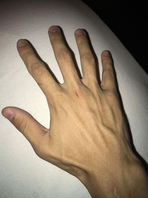 Arm Veins, Veiny Arms, Hand Veins, Hands With Rings, Veiny Hands, Rauch Fotografie, Hot Hands, Anime Hands, Twisted Love