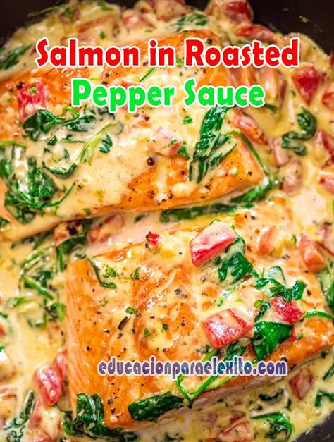 Salmon in Roasted Pepper Sauce - Educacionparaelexito Oven Roasted Tri Tip, Keto Chinese Food, Apple Cinnamon Recipes, Parmesan Salmon, Roasted Pepper Sauce, Salmon And Asparagus, Roasted Red Pepper, Roasted Peppers, Pepper Sauce