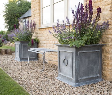 Summer Patio Inspiration to Transform your Outdoor Living Space - Harrod Horticultural Front Garden Planters, Metal Pots Planters, Large Planters Outdoor Ideas, Cast Iron Planters, Fruit Cage, Vegetable Planters, Garden Container, Trough Planters, Summer Patio